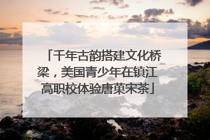 千年古韵搭建文化桥梁，美国青少年在镇江高职校体验唐菓宋茶