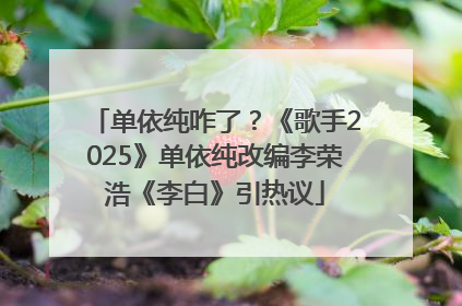 单依纯咋了？《歌手2025》单依纯改编李荣浩《李白》引热议