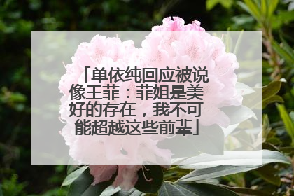 单依纯回应被说像王菲：菲姐是美好的存在，我不可能超越这些前辈