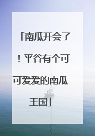 南瓜开会了！平谷有个可可爱爱的南瓜王国