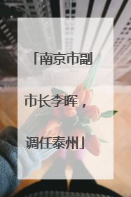 南京市副市长李晖，调任泰州
