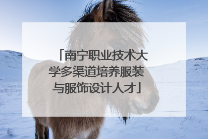 南宁职业技术大学多渠道培养服装与服饰设计人才