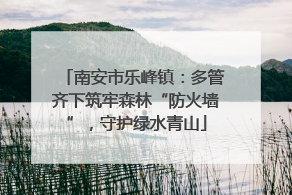 南安市乐峰镇：多管齐下筑牢森林“防火墙”，守护绿水青山