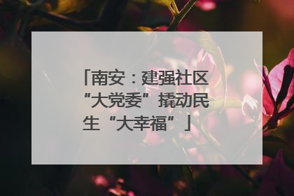 南安：建强社区“大党委”撬动民生“大幸福”