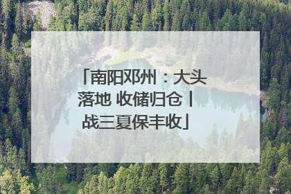 南阳邓州：大头落地 收储归仓丨战三夏保丰收