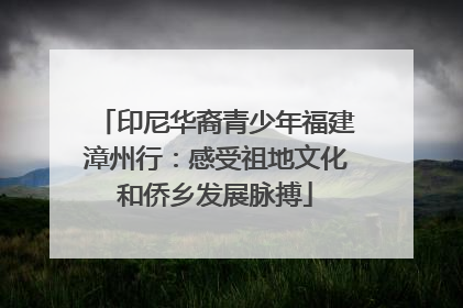 印尼华裔青少年福建漳州行：感受祖地文化和侨乡发展脉搏