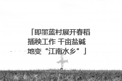 即墨蓝村展开春稻插秧工作 千亩盐碱地变“江南水乡”