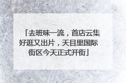 去班味一流，首店云集好逛又出片，天目里国际街区今天正式开街
