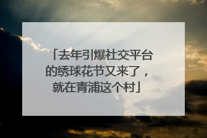 去年引爆社交平台的绣球花节又来了，就在青浦这个村