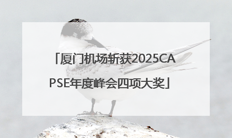 厦门机场斩获2025CAPSE年度峰会四项大奖