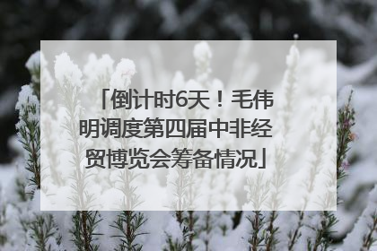 倒计时6天！毛伟明调度第四届中非经贸博览会筹备情况