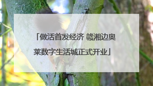做活首发经济 赣湘边奥莱数字生活城正式开业