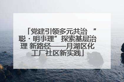 党建引领多元共治 “聪・明事理”探索基层治理 新路径——月湖区化工厂社区新实践