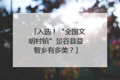 入选！“全国文明村镇”景谷县益智乡有多美？