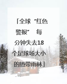 全球“红色警报”  每分钟失去18个足球场大小的热带雨林