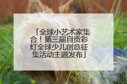 全球小艺术家集合！第三届自贡彩灯全球少儿创意征集活动主题发布