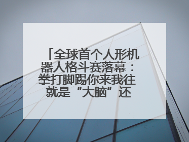 全球首个人形机器人格斗赛落幕：拳打脚踢你来我往 就是“大脑”还不好使