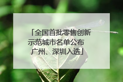 全国首批零售创新示范城市名单公布 广州、深圳入选