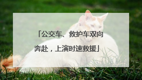 公交车、救护车双向奔赴，上演时速救援