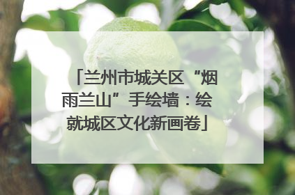 兰州市城关区“烟雨兰山”手绘墙：绘就城区文化新画卷
