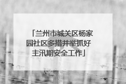兰州市城关区杨家园社区多措并举抓好主汛期安全工作