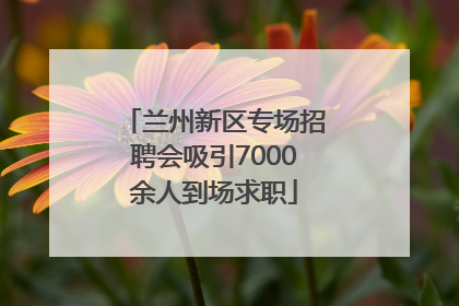 兰州新区专场招聘会吸引7000余人到场求职