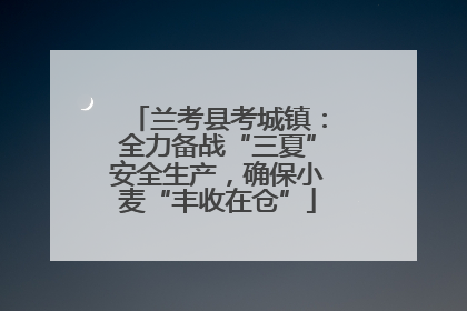 兰考县考城镇：全力备战“三夏”安全生产，确保小麦“丰收在仓”