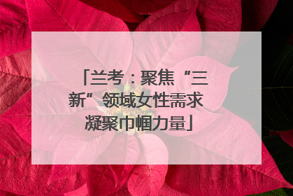 兰考：聚焦“三新”领域女性需求 凝聚巾帼力量
