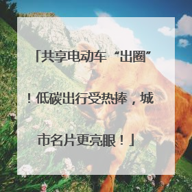共享电动车“出圈”！低碳出行受热捧，城市名片更亮眼！