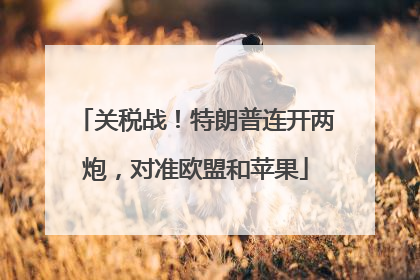 关税战！特朗普连开两炮，对准欧盟和苹果