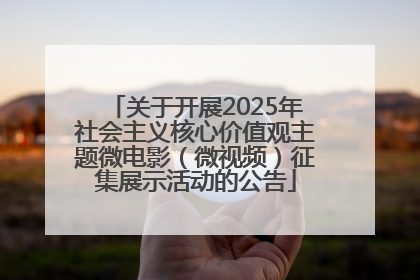 关于开展2025年社会主义核心价值观主题微电影（微视频）征集展示活动的公告