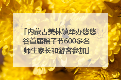 内蒙古美林镇举办悠悠谷首届粽子节600多名师生家长和游客参加