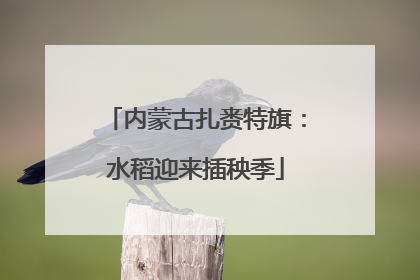 内蒙古扎赉特旗：水稻迎来插秧季