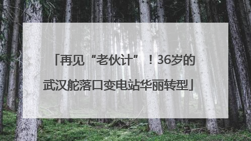 再见“老伙计”！36岁的武汉舵落口变电站华丽转型