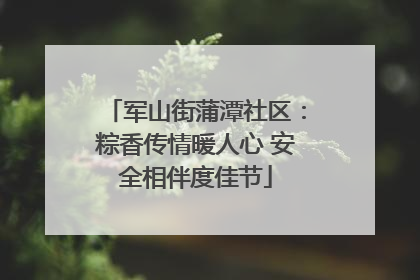 军山街蒲潭社区：粽香传情暖人心 安全相伴度佳节