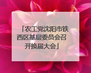 农工党沈阳市铁西区基层委员会召开换届大会