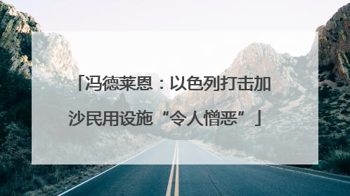 冯德莱恩：以色列打击加沙民用设施“令人憎恶”