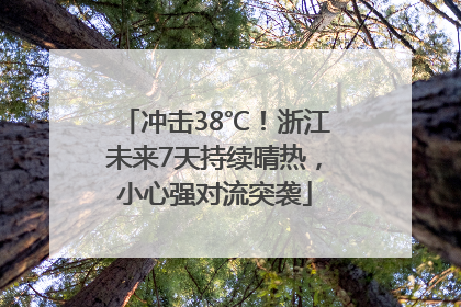 冲击38℃！浙江未来7天持续晴热，小心强对流突袭