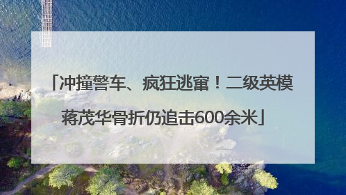 冲撞警车、疯狂逃窜！二级英模蒋茂华骨折仍追击600余米