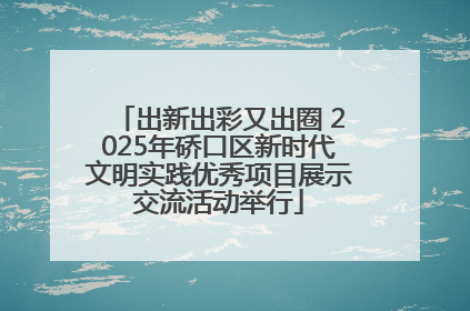 出新出彩又出圈 2025年硚口区新时代文明实践优秀项目展示交流活动举行