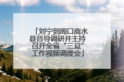 刘宁到周口商水县督导调研并主持召开全省“三夏”工作视频调度会