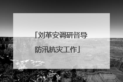 刘革安调研督导防汛抗灾工作