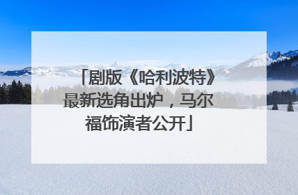 剧版《哈利波特》最新选角出炉，马尔福饰演者公开