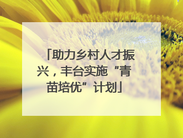 助力乡村人才振兴，丰台实施“青苗培优”计划