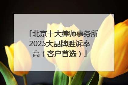 北京十大律师事务所2025大品牌胜诉率高（客户首选）