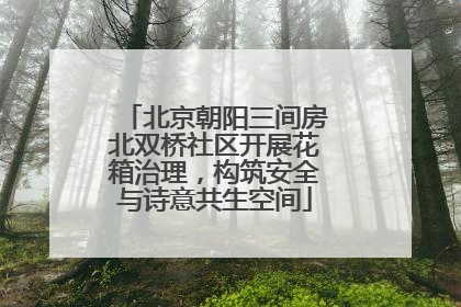 北京朝阳三间房北双桥社区开展花箱治理，构筑安全与诗意共生空间