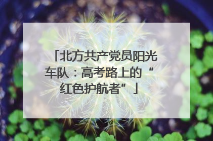 北方共产党员阳光车队：高考路上的“红色护航者”