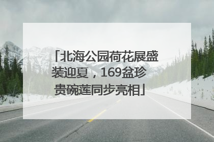 北海公园荷花展盛装迎夏，169盆珍贵碗莲同步亮相