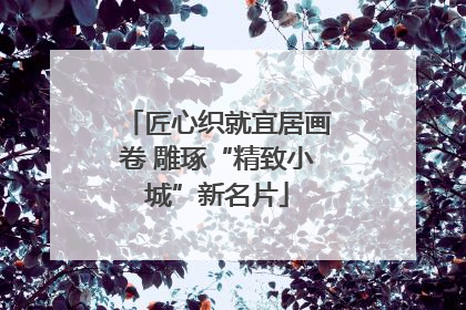 匠心织就宜居画卷 雕琢“精致小城”新名片