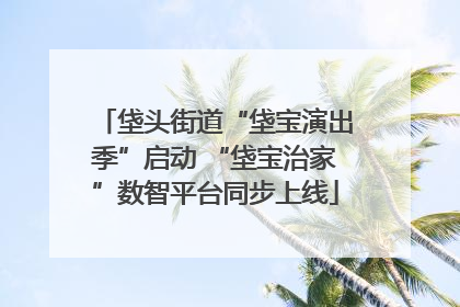 垡头街道“垡宝演出季”启动 “垡宝治家”数智平台同步上线